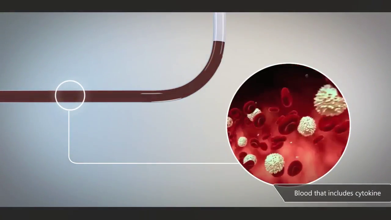 VetResQ - 3D Product